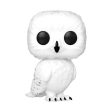 Funko Pop! & Tee Hedwig - S Online now